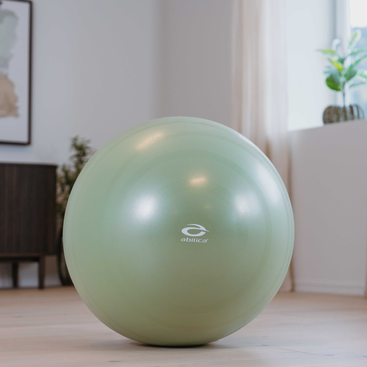 Fitnessboll 65 cm