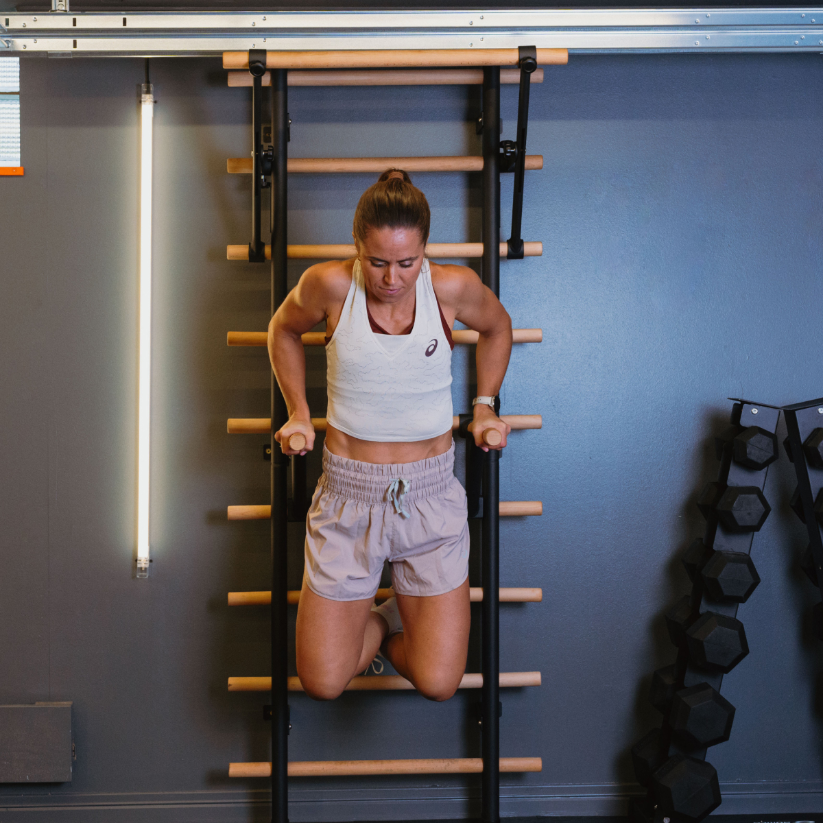 Dips handtag till Premium WallBar Ribbstol