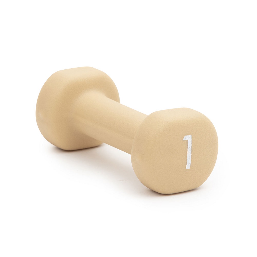 Abilica - DumbBell 1 kg