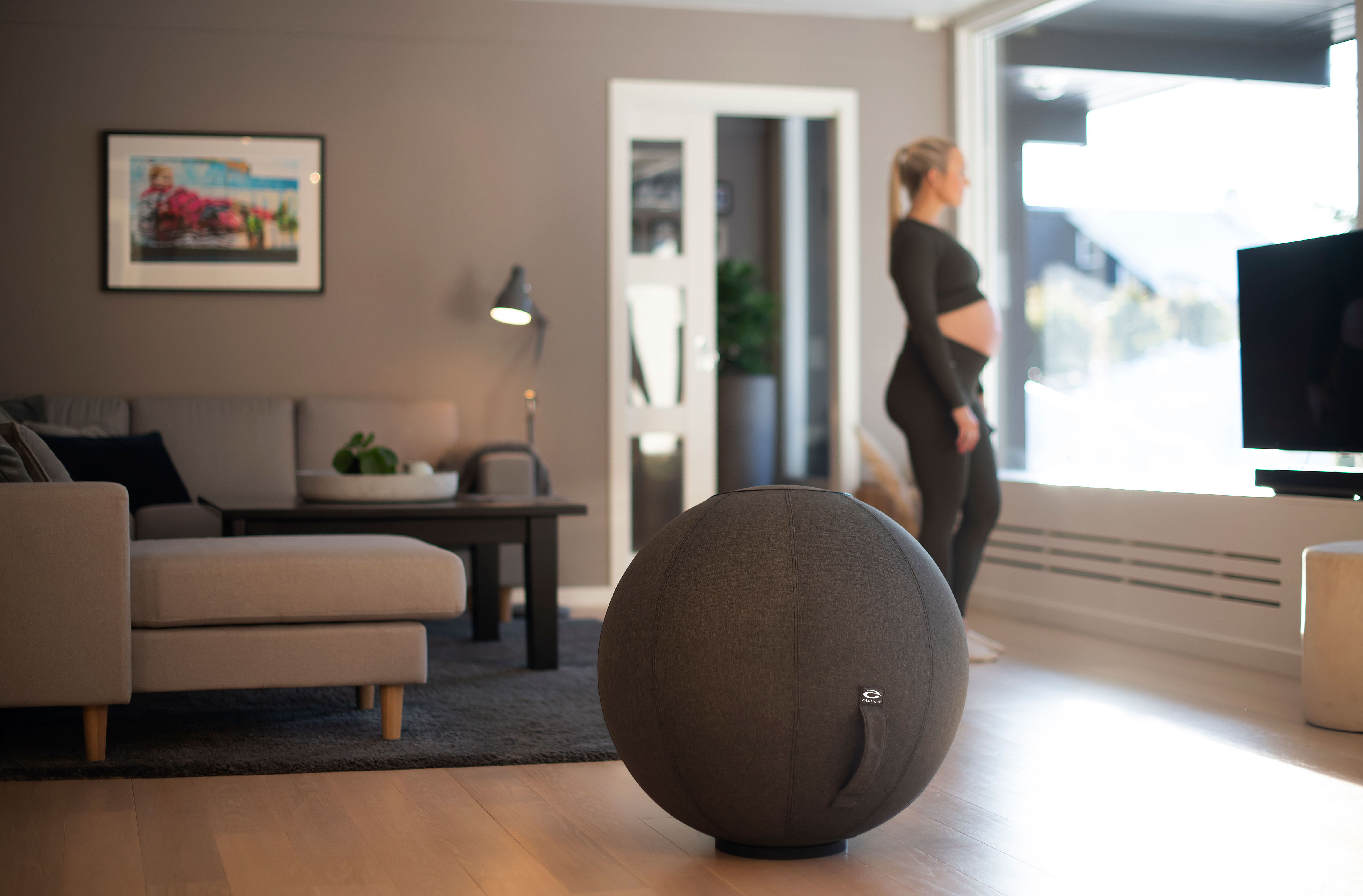 FitnessBall Cover 75 cm FitnessBall Cover 75 cm